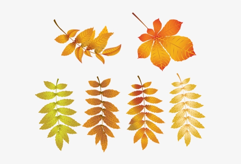 Falling Leaves Png, transparent png #976259