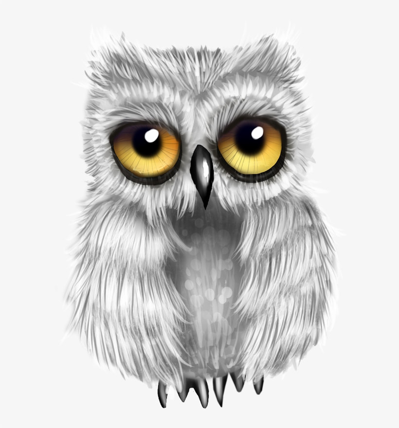 Image Du Blog Zezete2 - Owl, transparent png #976260