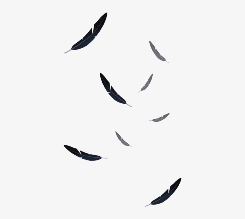 Ftestickers Feather Feathers Falling, transparent png #976283