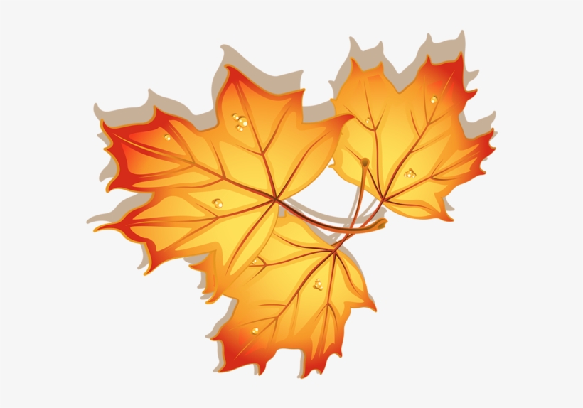 0, - Autumn Leave Clipart, transparent png #976285