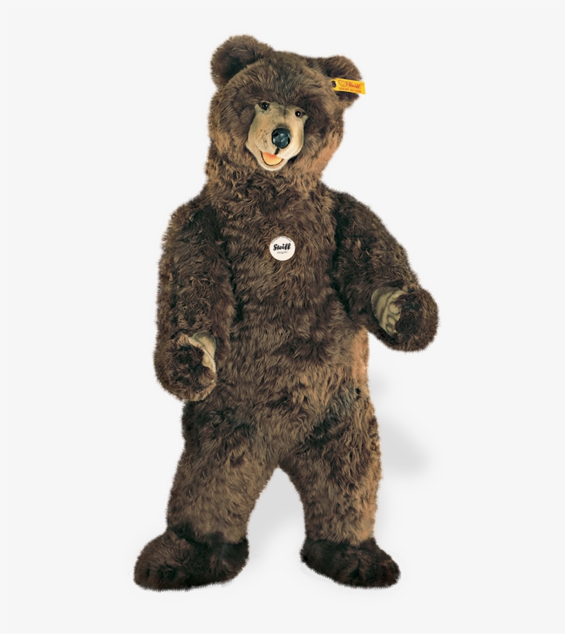 Steiff Bear - Steiff Studio Bear Ean 500558, transparent png #976422