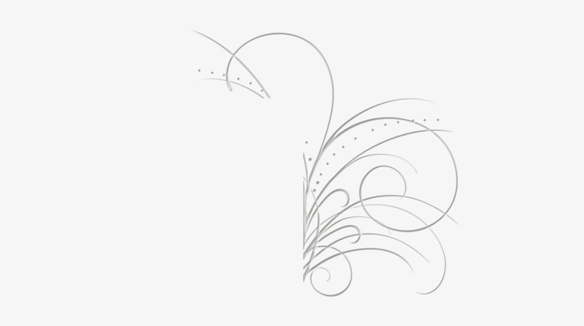 Butterfly On A Camera Transparent, transparent png #977412