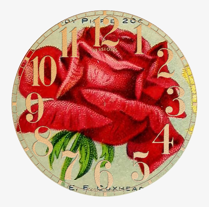 Antique Seed Catalog Reinvented - Paper, transparent png #977696