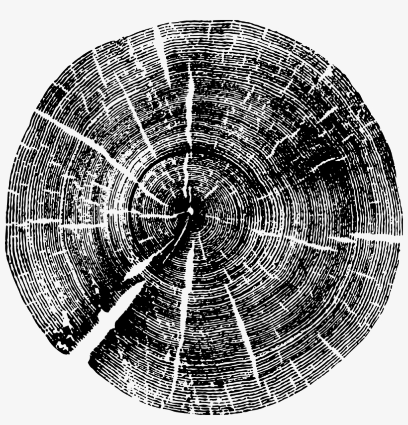 Woodgrain03 - Roy Montgomery M Darkmotif Dancehall Vinyl Lp, transparent png #977738