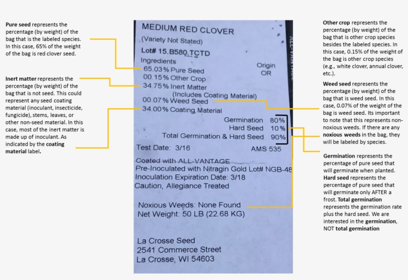 Important Seed Information - Document, transparent png #977981
