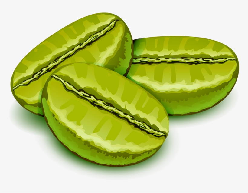 Green Coffee Beans Are Soaked In Hot Water To Open - Coffee, transparent png #978198