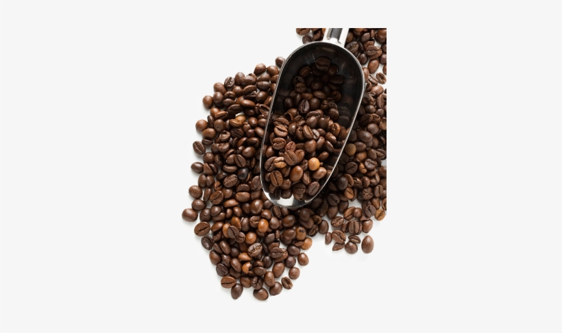 Coffee Beans Png Image - Coffee Bean Png Transparent, transparent png #978231