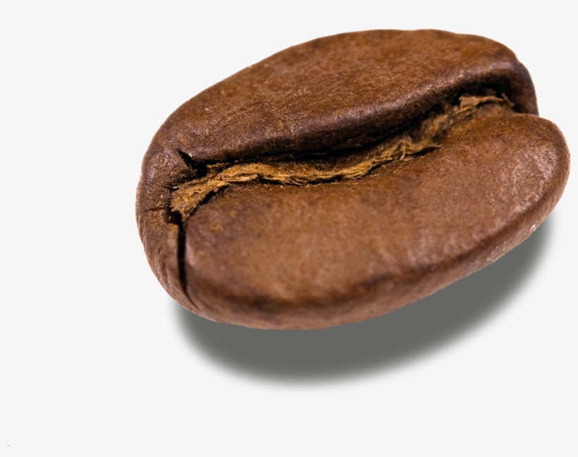 Coffee Beans Png Transparent Images - Coffee Bean Transparent Background, transparent png #978383
