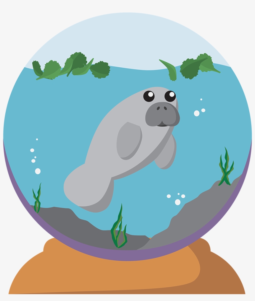 A Digital Work Of A Manatee In A Snow Globe - Cartoon, transparent png #978639