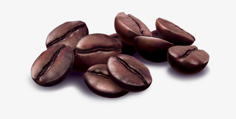 Creative Services - Transparrent Png Coffee Beans, transparent png #978800