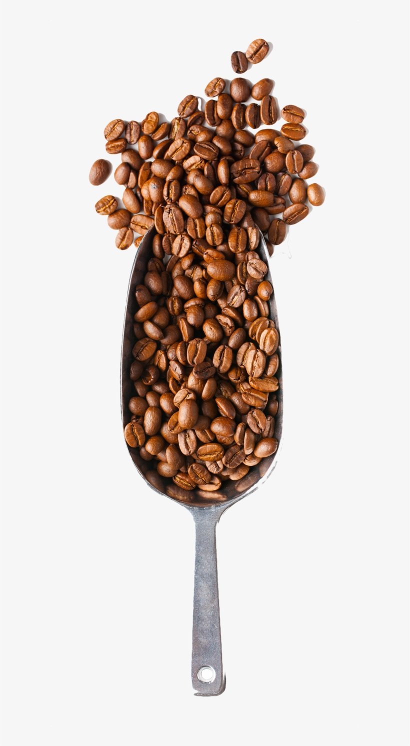 Coffee Time - Coffee Beans And Spoon Png, transparent png #978909