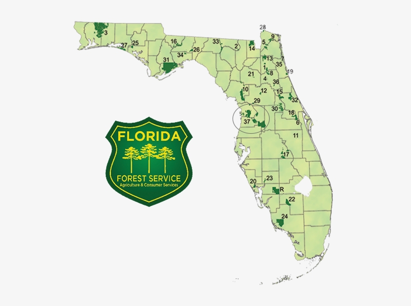 You Can Follow Florida Commissioner Adam Putnam On - National Forest Map Florida, transparent png #979053