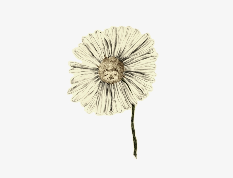 Brittany Is A Recent Graduate Of Maryland Institute - Artificial Flower, transparent png #979172