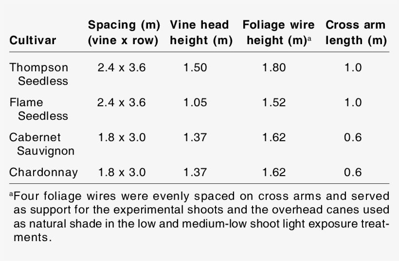 Vine Spacing And Trellis Configuration Of Cultivars - Meta Analysis Apa Table, transparent png #979672