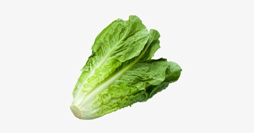 Romaine Lettuce Png - Lettuce Png, transparent png #979854