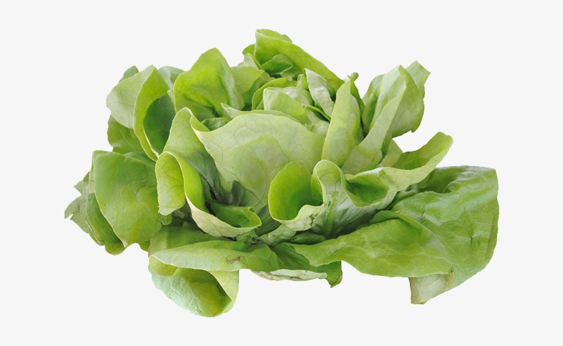 Jpg Free Stock Cabbage Romaine Computer File Pictures - Ensalada De Lechuga Png, transparent png #979962