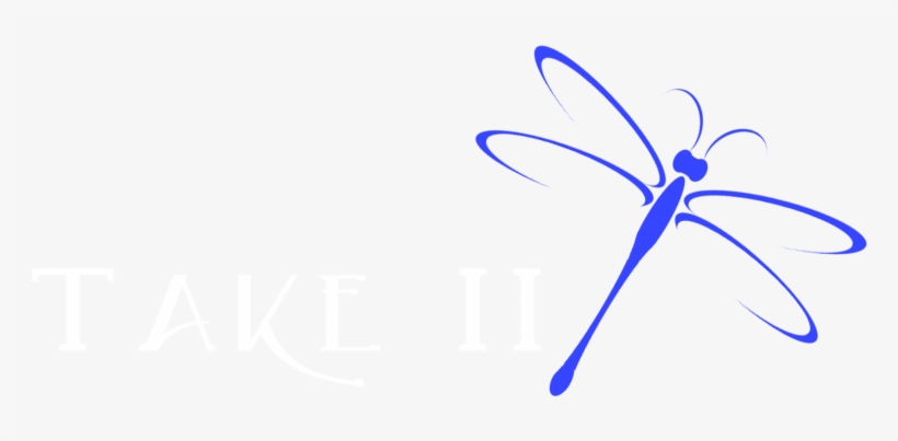 La Crosse Home Staging Professional Home Staging Wisconsin - Dragonfly, transparent png #9703139