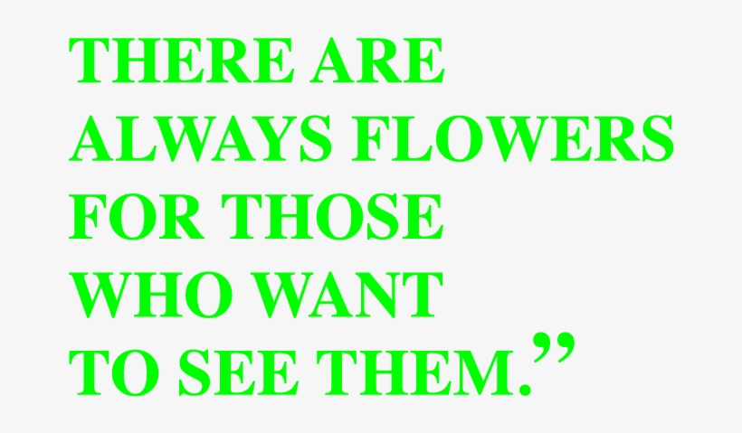 Flowers-quote - Cayo Costa State Park, transparent png #9703493