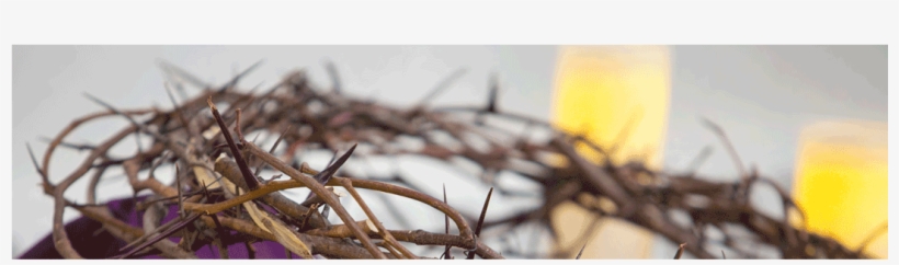 Lent 2017 Catholic, transparent png #9704026