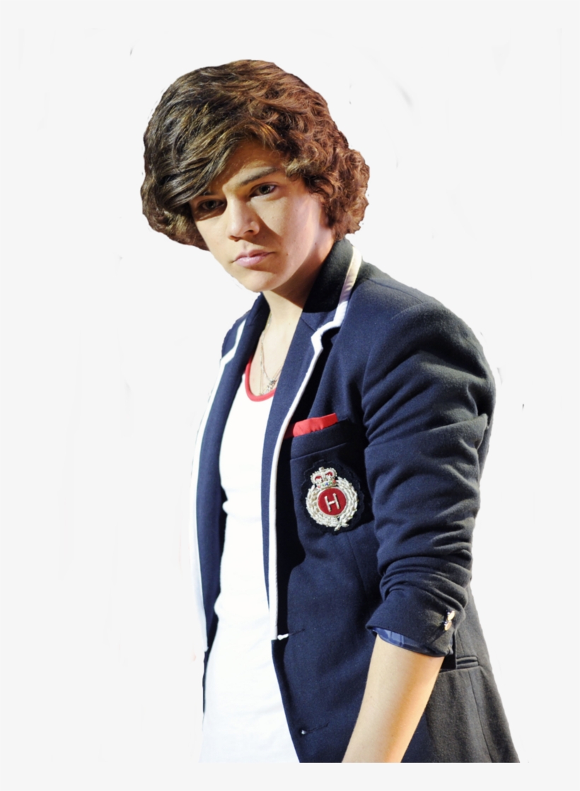 Png Harry Styles - Png De Harry Styles, transparent png #9704187