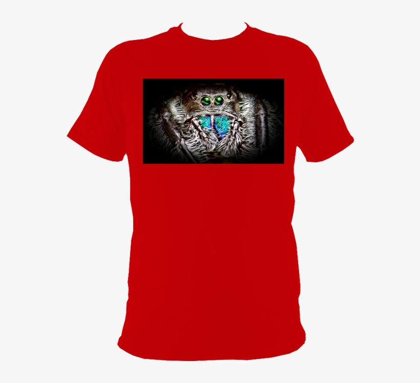 New - T-shirt, transparent png #9704834
