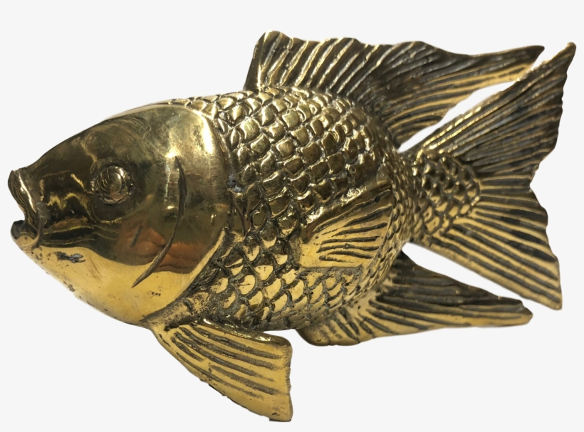 Cast Brass Koi Fish Finished In A Golden Shiny Color - Carp, transparent png #9704899