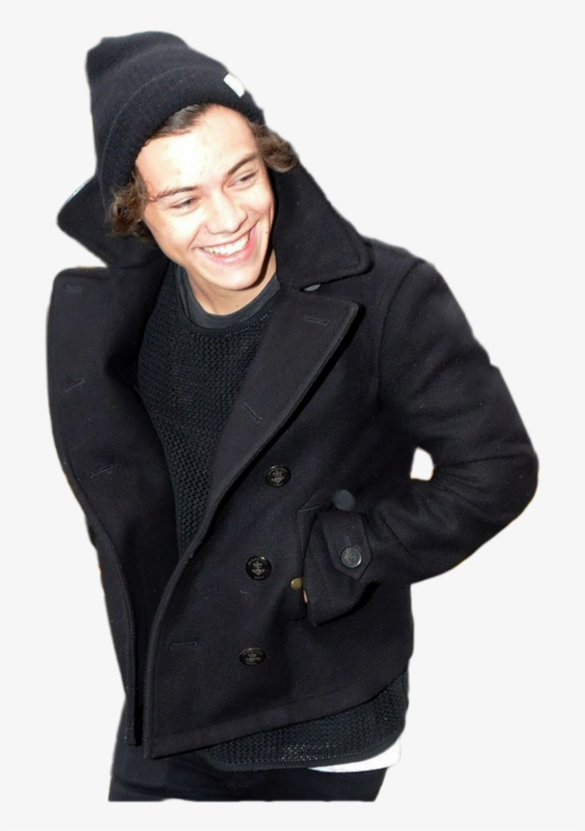 Harry Style Cuerpo Completo Png, transparent png #9704900