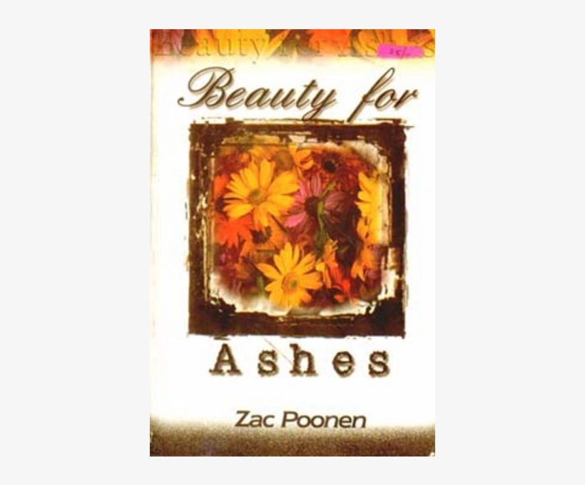 Beauty For Ashes - Tagetes Patula, transparent png #9705134