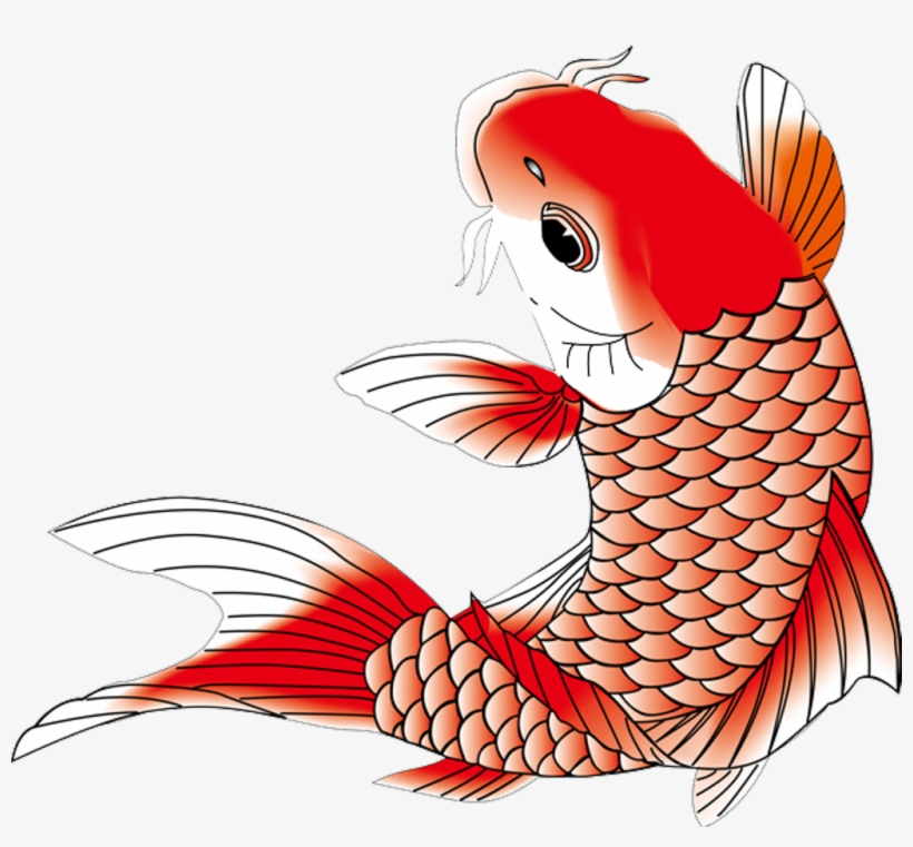 Koi Koifish Fish Chinese Japanese Asian Ftestickers - Japanese Koi Fish Png, transparent png #9705189