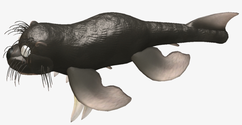 Slimecoat Otter - California Sea Lion, transparent png #9705832