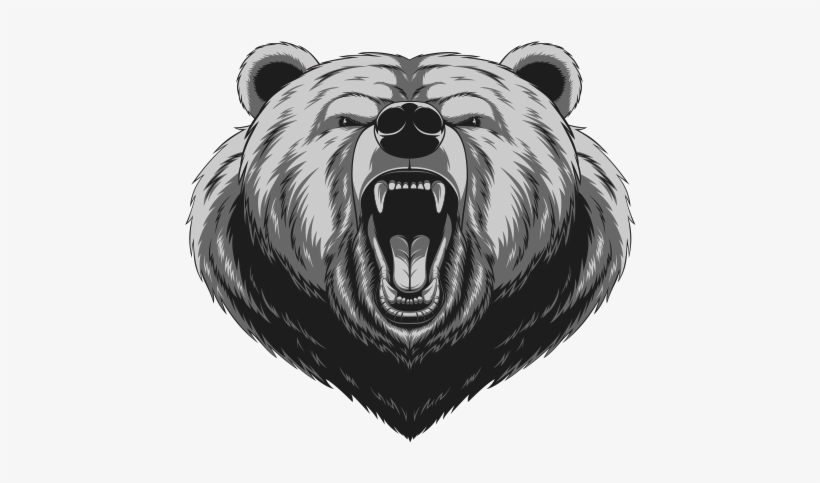 600 X 600 3 - Angry Bear Head, transparent png #9705970