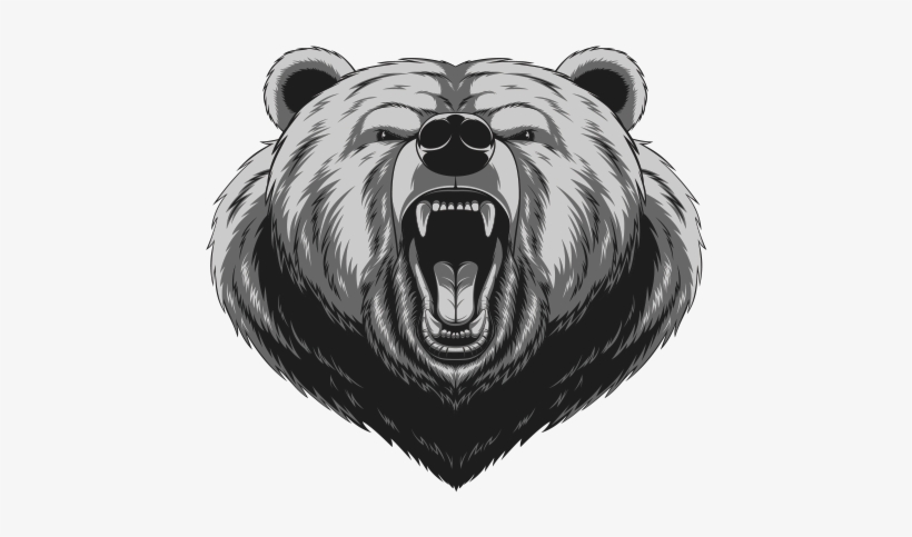 600 X 600 3 - Angry Bear Head, transparent png #9705970