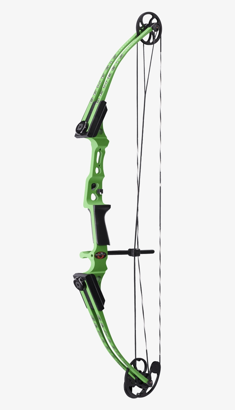 Learn More - Compound Bow, transparent png #9706023