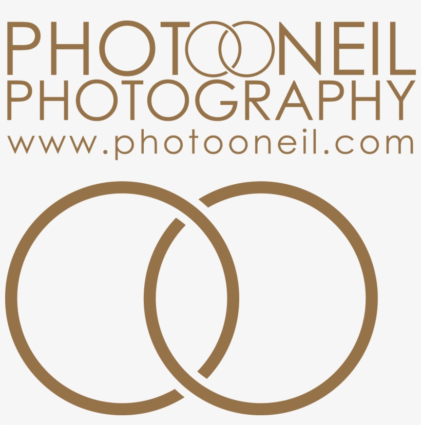Goa Wedding Photographer - Circle, transparent png #9706546