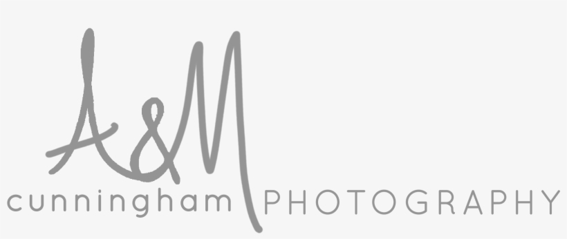 A&m Cunningham Photography - Calligraphy, transparent png #9706585