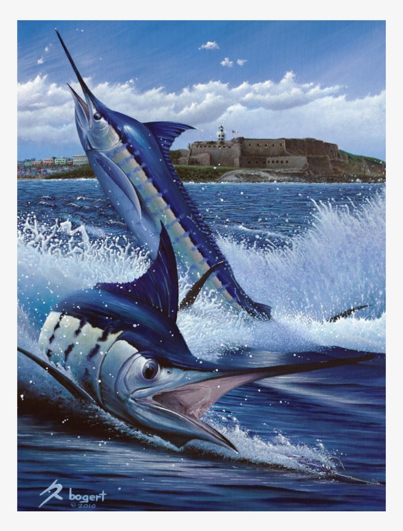 Blue Marlin Puerto Rico, transparent png #9709077