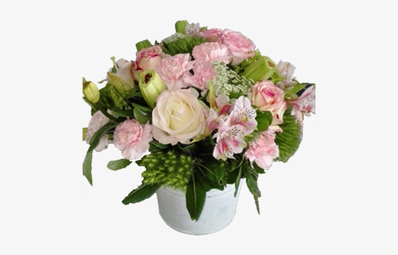 Destellos De Alegria - Garden Roses, transparent png #9709936