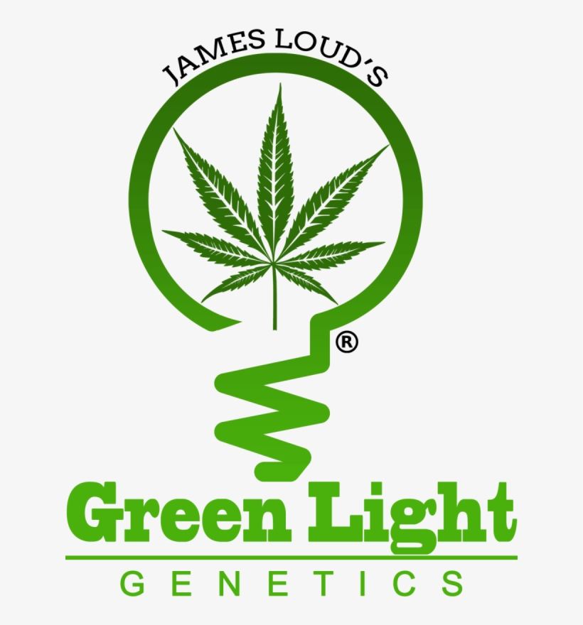James Loud's Green Light Genetics Is A New Brand Created - Emblem, transparent png #9710348