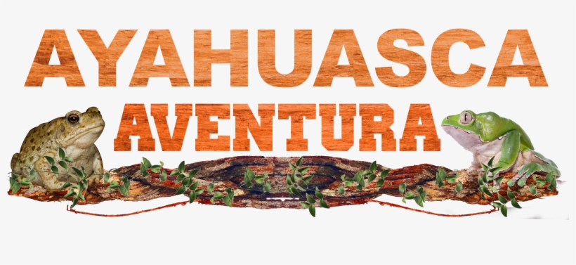 Dish, transparent png #9710610