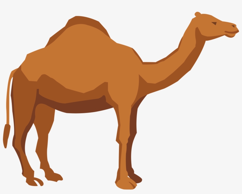 Camel Png, transparent png #9710643