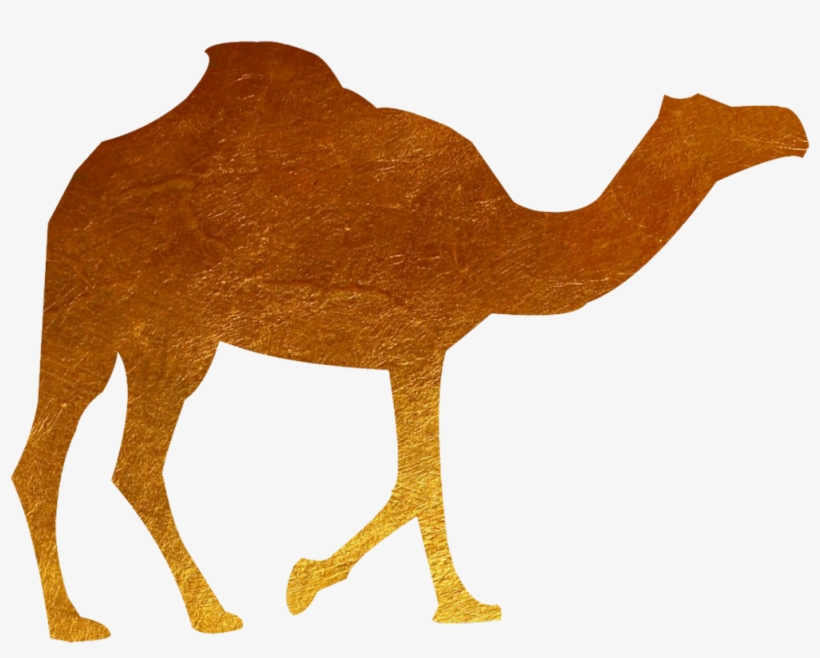 #animal #camel #gold - Camel, transparent png #9710827