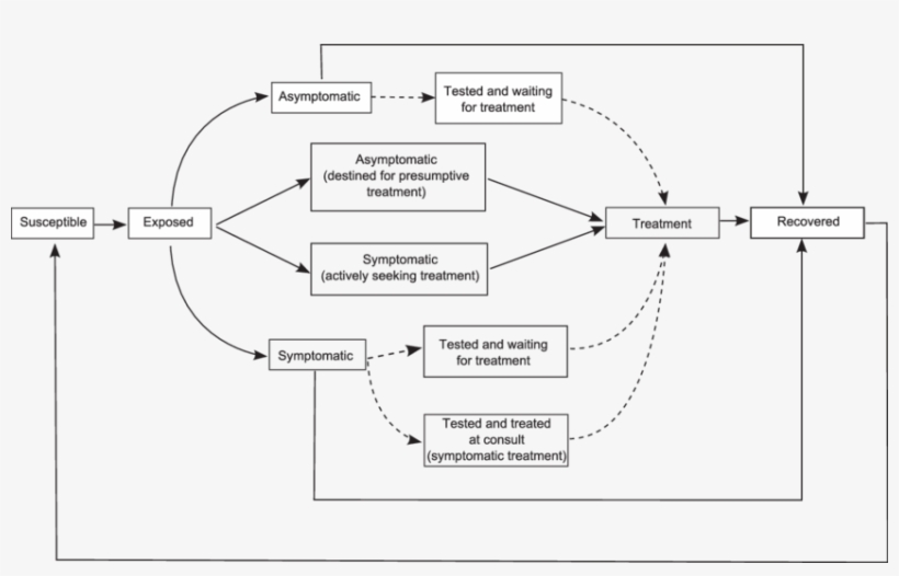 Compartmental Diagram Of The Model Used In The Analysis - Diagram, transparent png #9711209