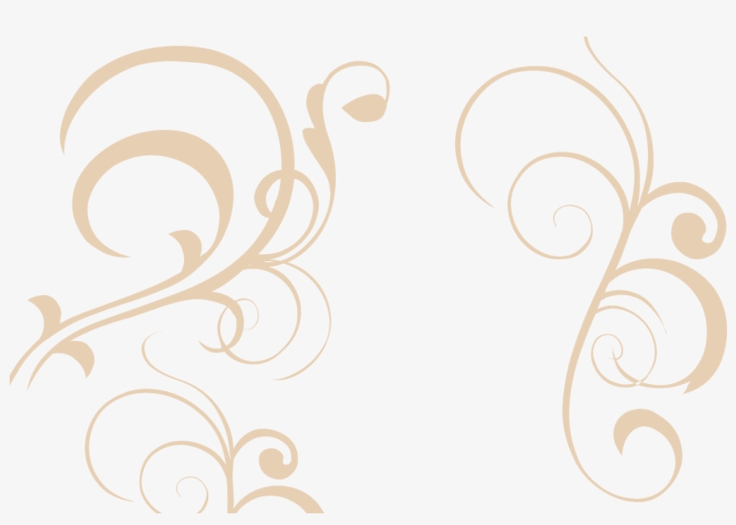 Wood Floor Professional Galax Va - Motif, transparent png #9711278