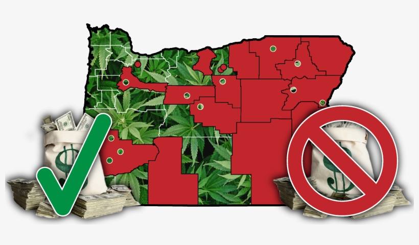 Floral Design, transparent png #9711608