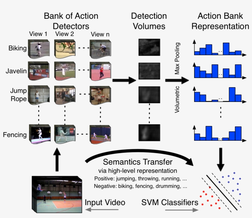 Human Motion And Activity Is Extremely Complex - Video Action Recognition, transparent png #9711780