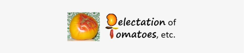 Persimmon, transparent png #9712302