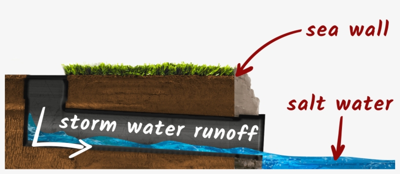 Drain A - Grass, transparent png #9713044