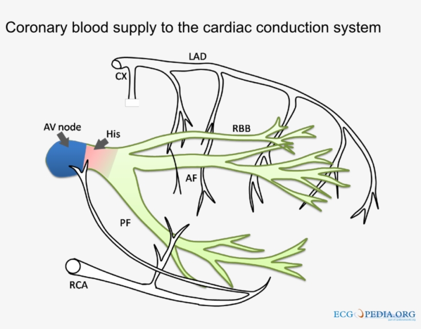320 × 240 Pixels - Diagram, transparent png #9713667