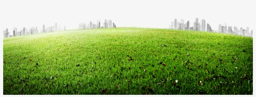 Meadow 5200*3458 Transprent Png Free Download, transparent png #9714653