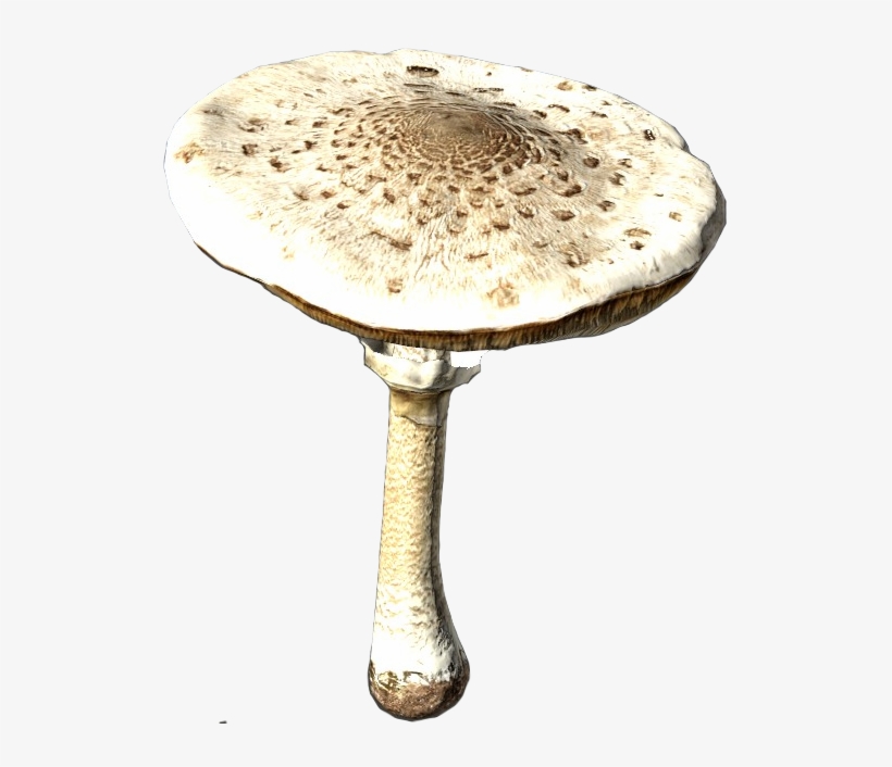 Agaric, transparent png #9715630